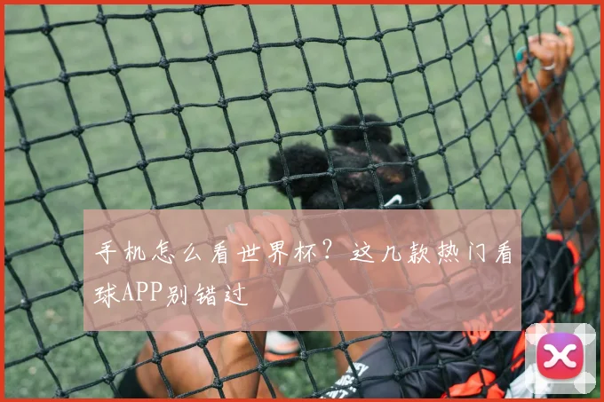 手机怎么看世界杯?这几款热门看球APP别错过