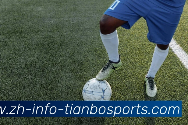 天博app平台生态图